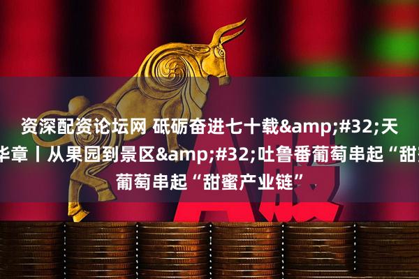 资深配资论坛网 砥砺奋进七十载 天山南北谱华章丨从果园到景区 吐鲁番葡萄串起“甜蜜产业链”